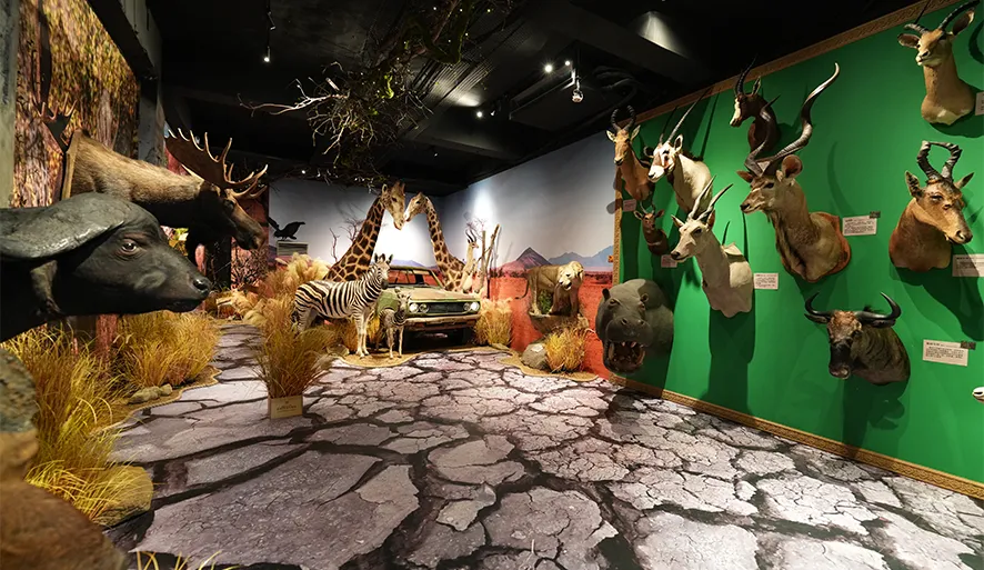 【獅子住裡面】1:1北極熊、河馬標本近距離體驗!適合親子同遊的室內景點