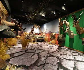 【獅子住裡面】1:1北極熊、河馬標本近距離體驗!適合親子同遊的室內景點