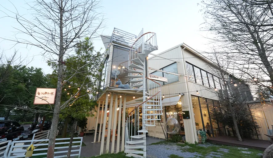 【兔子遇到熊】質感蔬食餐廳，提供全素、蛋奶素多元選擇！義大利麵、燉飯