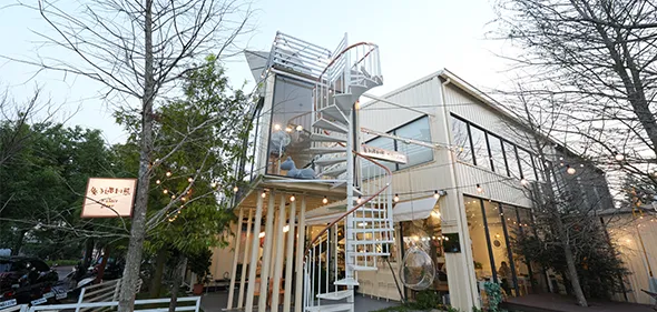 【兔子遇到熊】質感蔬食餐廳,提供全素、蛋奶素多元選擇!義大利麵、燉飯