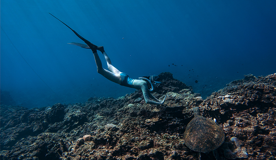 【臥海潛水】收穫滿滿美照的自由潛水體驗！專業水下攝影、費用