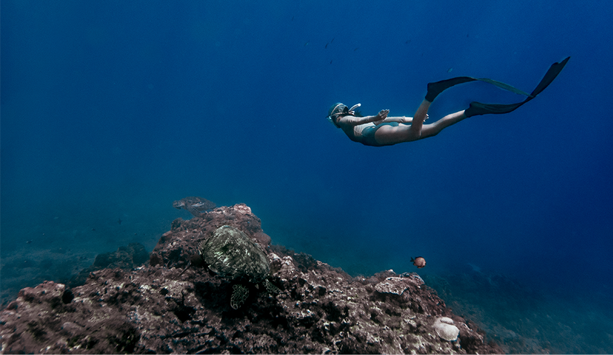 【小琉球潛水推薦】5間熱門潛店評比，水肺潛水、自由潛水、考照一次看！價格