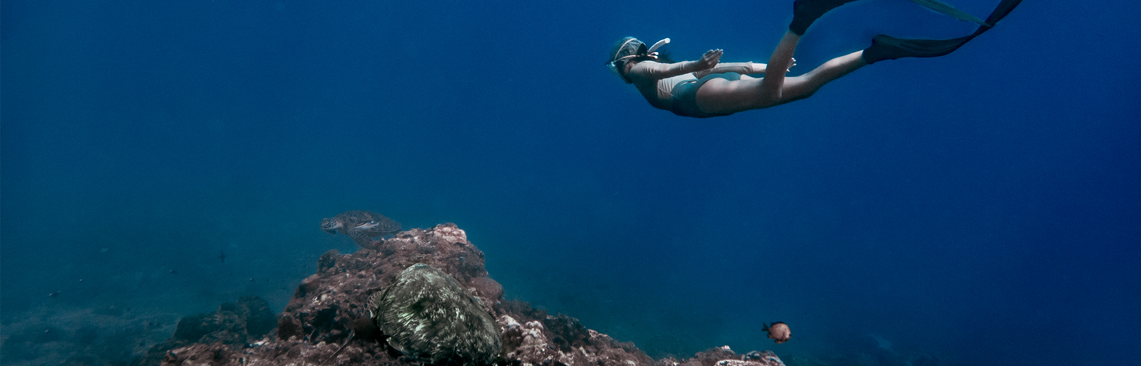 【小琉球潛水推薦】5間熱門潛店評比，水肺潛水、自由潛水、考照一次看！價格