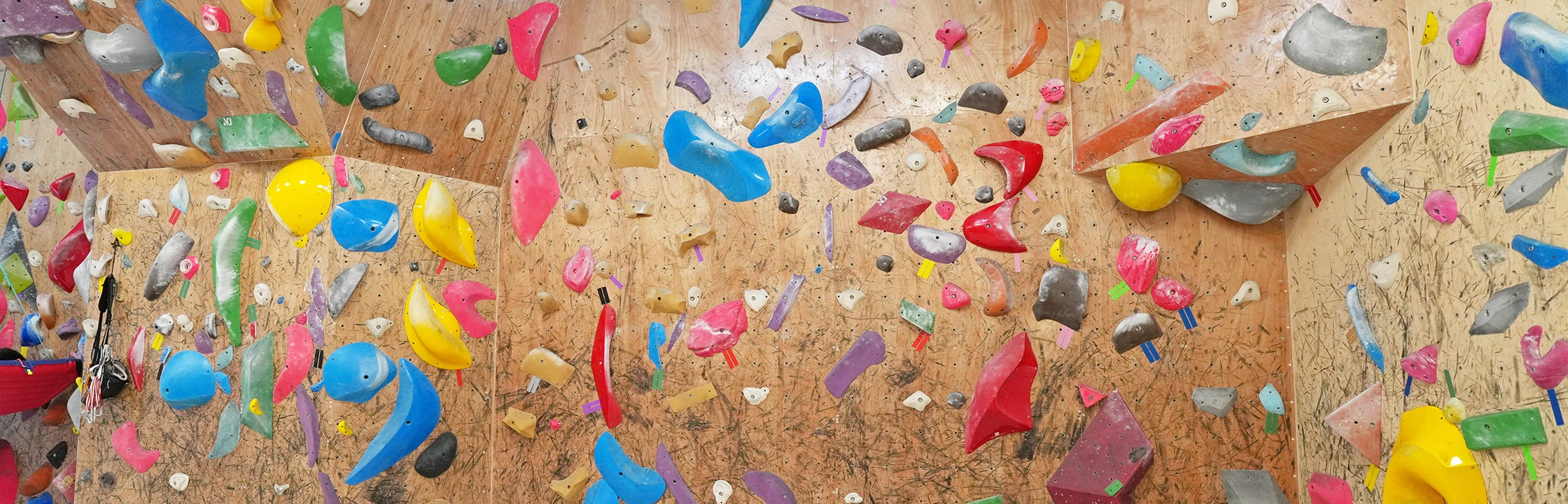 【奇岩攀岩館】喚起人類攀爬的本能！教練耐心指導，初心者別怕