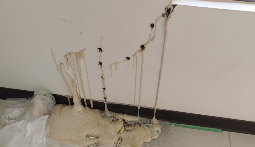 示意圖(非圖片店家)