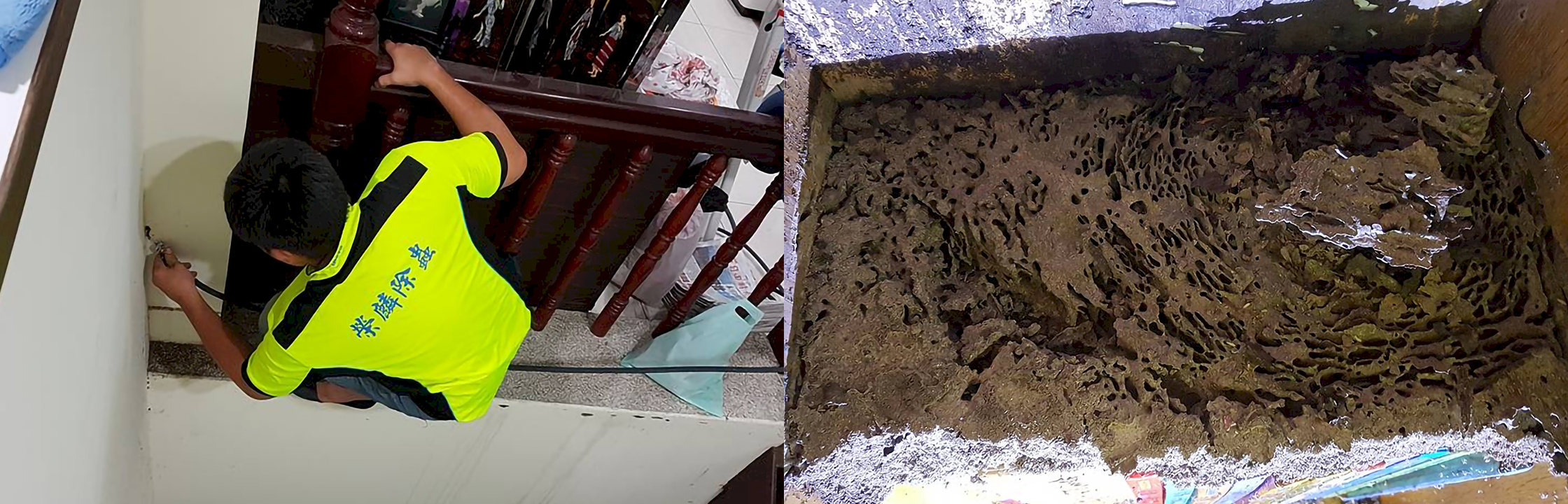 【榮麟】拒絕不速之客干擾！專業環境清消體驗，讓吃住更安心