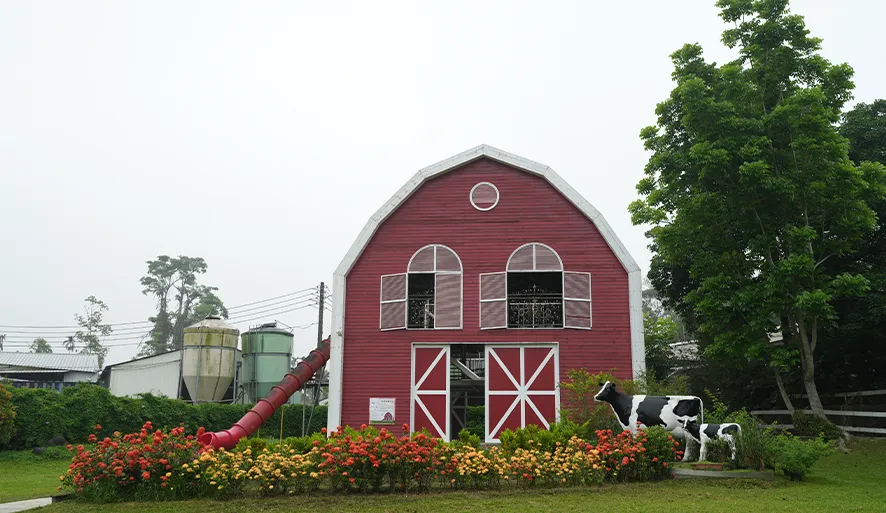 【粉牛樂園】超豐富動植物、餵小牛喝牛奶、跑跑幸運鵝超有趣！