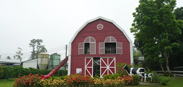 【粉牛樂園】超豐富動植物、餵小牛喝牛奶、跑跑幸運鵝超有趣！