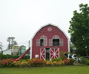 【粉牛樂園】超豐富動植物、餵小牛喝牛奶、跑跑幸運鵝超有趣！