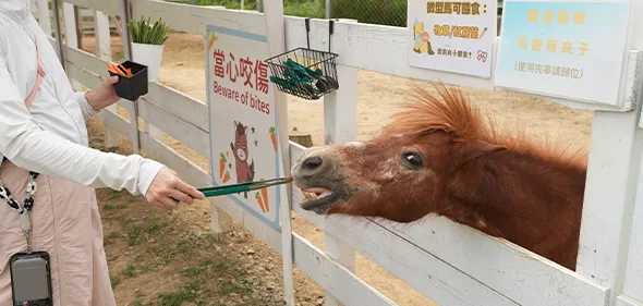 【萌寵村】假日放電首選！超豐富親子景點、療癒的餵食體驗分享