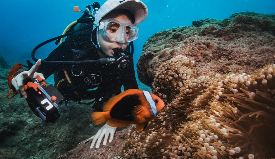 【徊深潛水】與海龜共游的夢幻旅程！教練細心又專業，水下照片超美