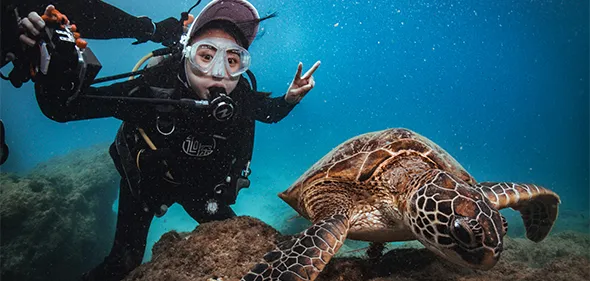 【徊深潛水】與海龜共游的夢幻旅程！教練細心又專業，水下照片超美