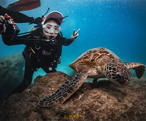 【徊深潛水】與海龜共游的夢幻旅程！教練細心又專業，水下照片超美
