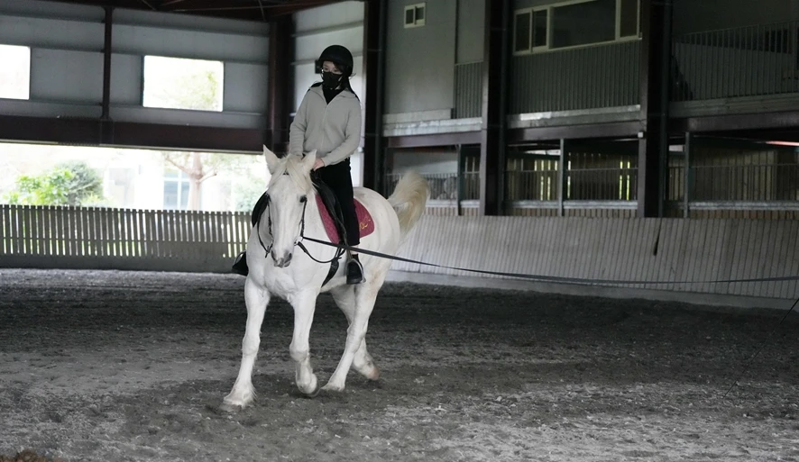 【先騰馬業神岡分部】台中專業馬場基地，享受親子騎馬體驗樂趣