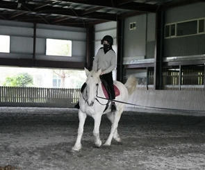 【先騰馬業神岡分部】台中專業馬場基地，享受親子騎馬體驗樂趣