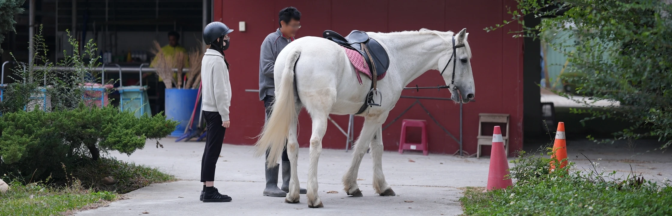 【先騰馬業神岡分部】台中專業馬場基地，享受親子騎馬體驗樂趣